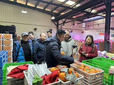 奉節(jié)臍橙產(chǎn)業(yè)協(xié)會赴沈陽地利批發(fā)市場考察調(diào)研